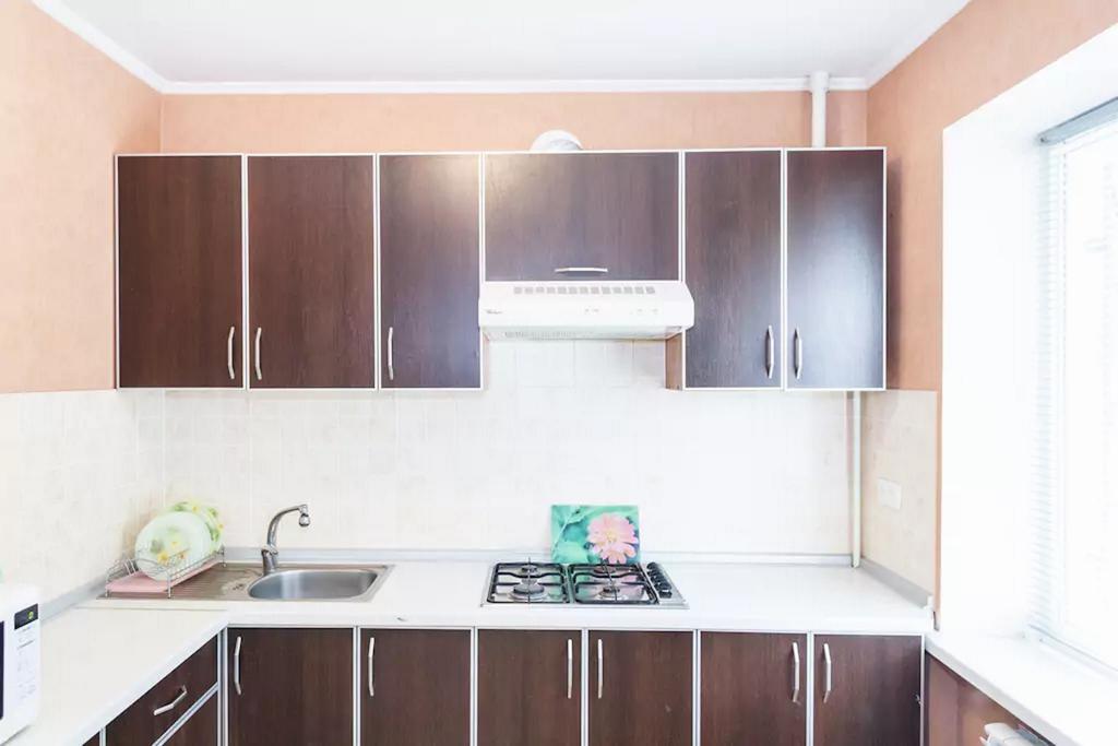 Apartment In Zaporozhye. Antica Zaporizhia Exterior photo
